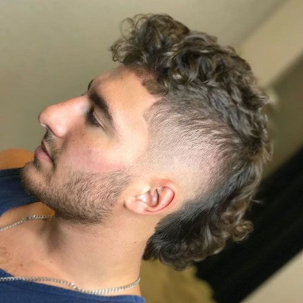 Fancy Mullet Fade Haircut style