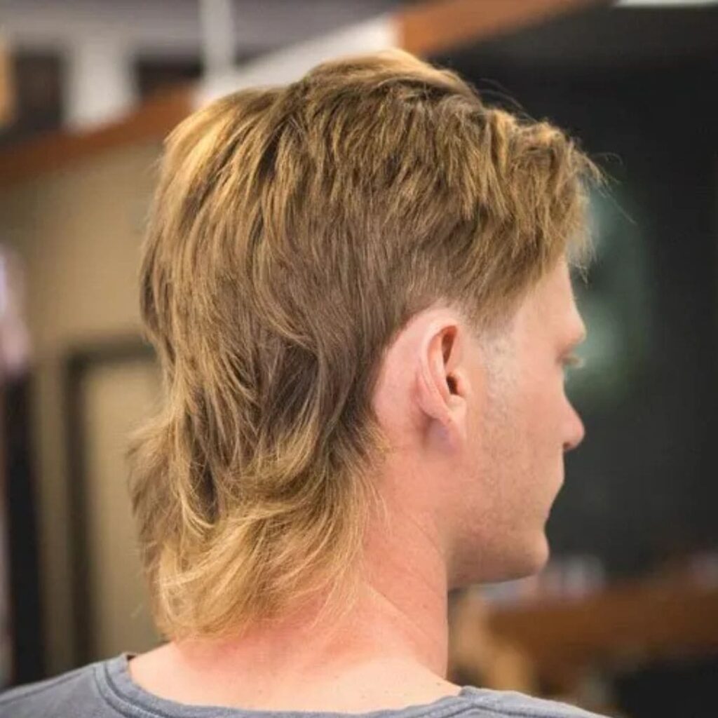 Straight Hair Mullet Haircut style